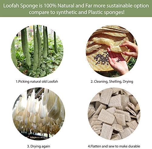 Plant-Based 6pcs Kitchen Brush Set by HELLO NATURE, Sustainable & Biodegradable Natural Fibre Bamboo Dish Brush,Bottle Brush,Pot Brush & 3 Natural Loofah Sponges, Zero-Waste,Plastic Free Kitchen Set - Image 4