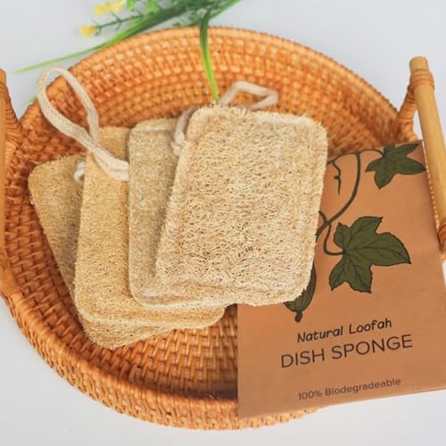 8 Pcs Natural Loofah Dishwashing Sponge Loofah Dish Towel Sponges with Hanging Loop for Kitchen Cleaning Dishes Natural Dish Scrubber - Image 4