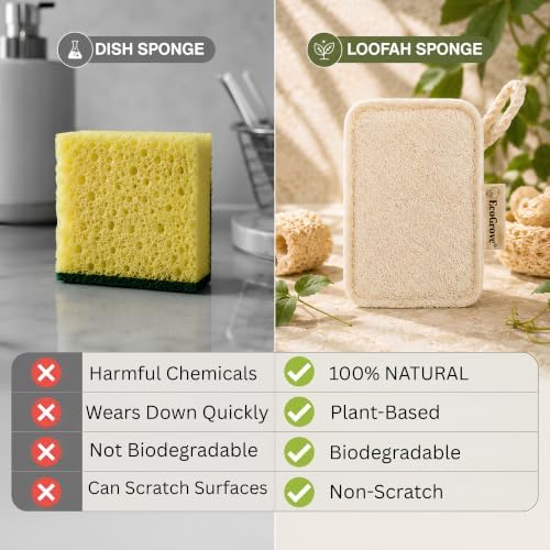 Natural Loofah Sponge – Plant-Based Loofah Sponges, Plastic-Free Biodegradable Organic Loofah Scrubber for Kitchen Cleaning, Dishes & Body Care, Natural Shower Sponge (4 Pack) - Image 3