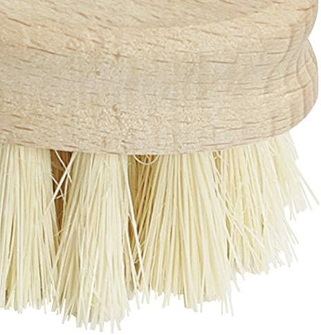 Küchenprofi Vegetable Brush - 2.5 x 5.5 in, Beechwood Handle & Natural Bristles - Dish Scrubber & Kitchen Scrub Brush for Vegetables & Dishes
