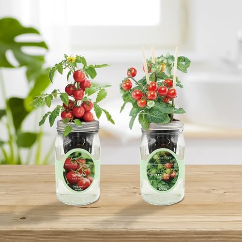 Tiny Tim & Red Robin Tomato Mason Jar Garden Kit, Mini Tomato Grow Duo, 2 Pack Indoor Hydroponic Growing Kit - Image 3
