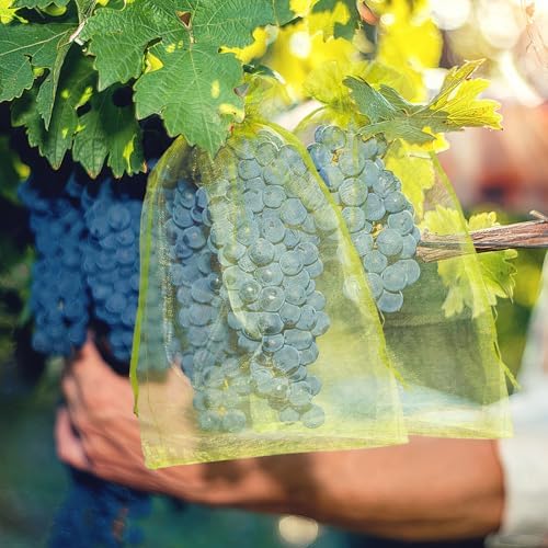 50 Pcs Fruit Protection Bags, 8×12 in Mesh Cover Nets for Tree, Green - Image 7