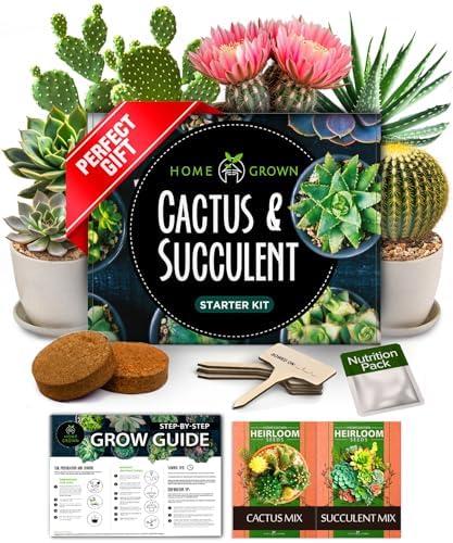 HOME GROWN Succulent & Cactus Seed Starter Kit, DIY Gardening Gift by HOMEGROWN
