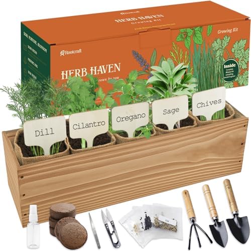 5 Herb Garden Planter Indoor with Wooden Box, Home Kitchen Seed Starter Kit Including Dill, Cilantro, Oregano, Sage, Chives, Birthday, Mothers Day, House Warming, Gardening Gifts for Women, Mom by ROOTCRAFT