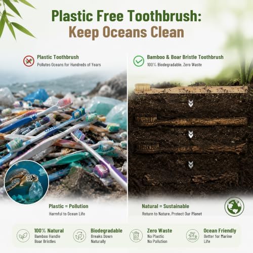 DEBETOOL 4-Pack Natural Boar Bristle Toothbrush for Adults - Image 6