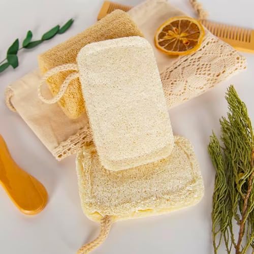 8 Pcs Natural Loofah Dishwashing Sponge Loofah Dish Towel Sponges with Hanging Loop for Kitchen Cleaning Dishes Natural Dish Scrubber - Image 2