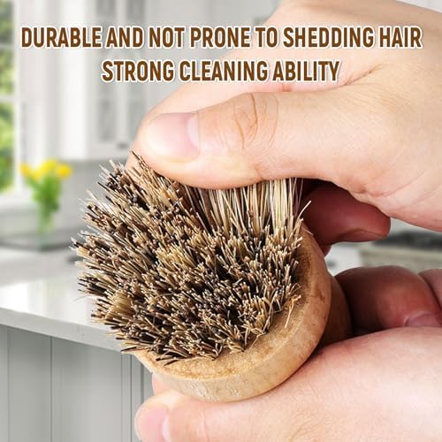 Natural Coconut Fiber Pot Scrubber Brushes with Quick-Dry Stand, Rubberwood Handle for Stubborn Pans & Kitchen Cleaning,2Pcs - Image 3