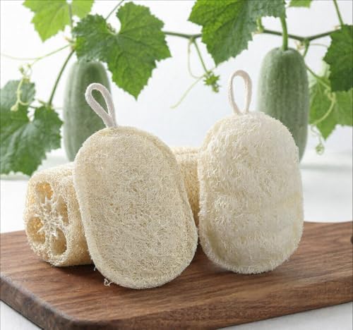Natural Egyptian Loofah Dish Sponges, Double-Sided Scrubbers, 4-Pack - Image 7