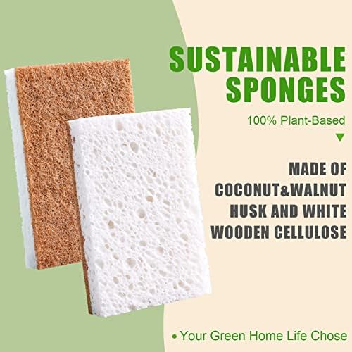 PANYEE Biodegradable Natural Kitchen Sponge，Eco Friendly Sponges for Dishes,Compostable Cellulose Sponge with Natural Plant Based Coconut Walnut Sustainable Scrubber Pack of 12 - Image 2