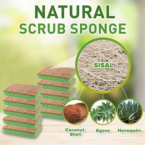 SCRUBIT 48 Pack Natural Sponges - Biodegradable Compostable Cellulose and Coconut Natural Sponges for Dishes, Eco Friendly Non Toxic Kitchen Sponge - Image 2