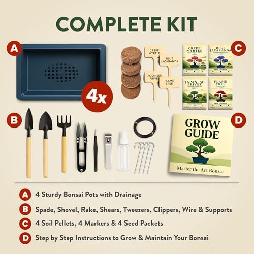 HOME GROWN 4 Bonsai Tree Starter Kit, Christmas Gardening Gift for Adults - Image 3
