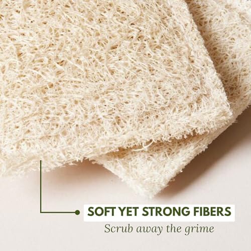 Natural Loofah Dish Sponge Multipurpose 100% Biodegradable - Image 4