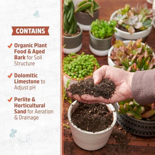 Back to the Roots 100% Organic Succulent & Cacti Mix (Value 25 Quart) | Made in the USA - Image 3
