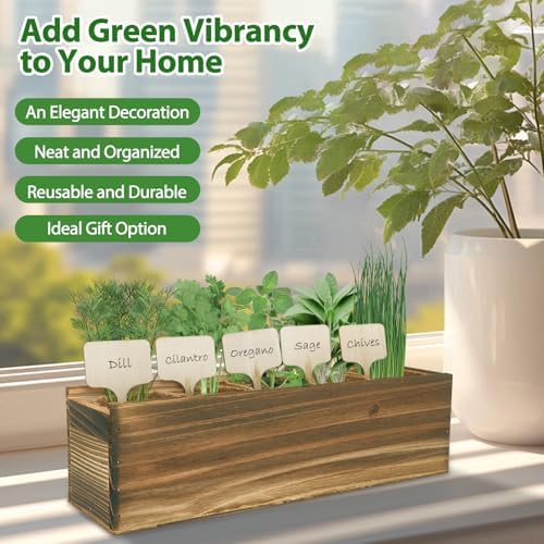 5 Herb Garden Planter Indoor with Wooden Box, Home Kitchen Seed Starter Kit Including Dill, Cilantro, Oregano, Sage, Chives, Birthday, Mothers Day, House Warming, Gardening Gifts for Women, Mom - Image 4