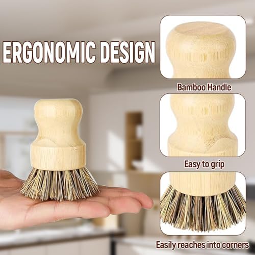 Natural Coconut Fiber Pot Scrubber Brushes with Quick-Dry Stand, Rubberwood Handle for Stubborn Pans & Kitchen Cleaning,2Pcs - Image 2