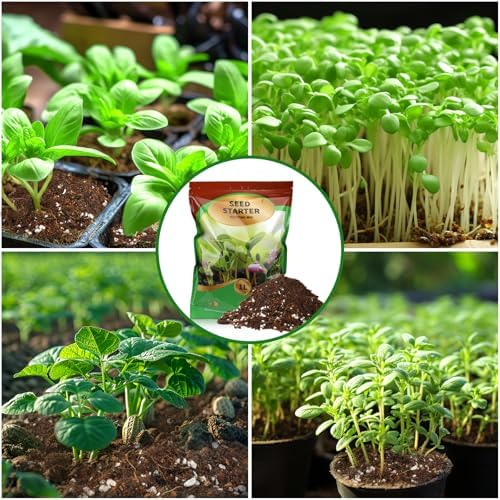 Doter Seed Starter Potting Soil Mix 2qt, Seed Starting Mix for Germination and Growth, Loamy Compost Well-Drainaged Soil Fit for Vegetable, Flower, houseplant - Image 6