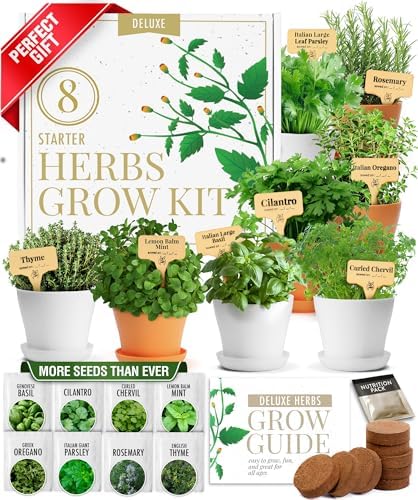 HOME GROWN 8 Herb Garden Kit, Indoor Growing Kit, Gardening Gifts for Women by HOMEGROWN