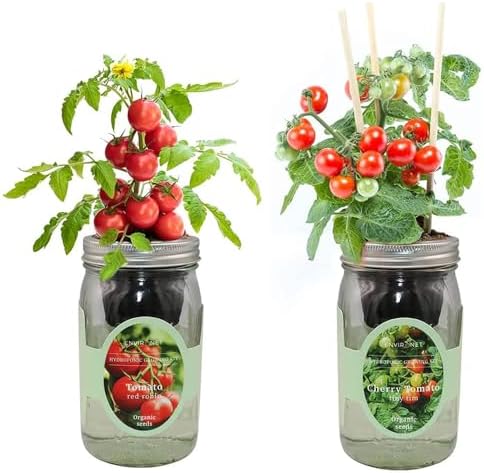 Tiny Tim & Red Robin Tomato Mason Jar Garden Kit, Mini Tomato Grow Duo, 2 Pack Indoor Hydroponic Growing Kit by Environet