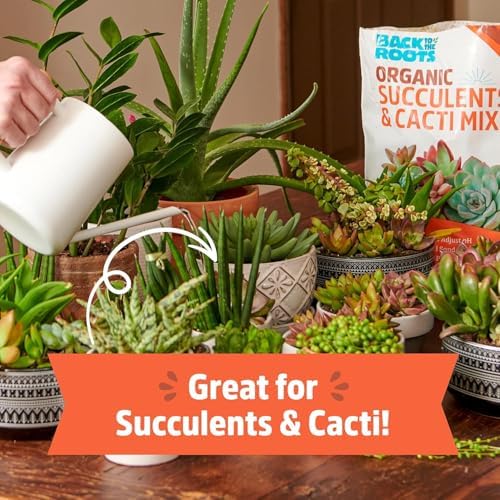 Back to the Roots 100% Organic Succulent & Cacti Mix (Value 25 Quart) | Made in the USA - Image 2