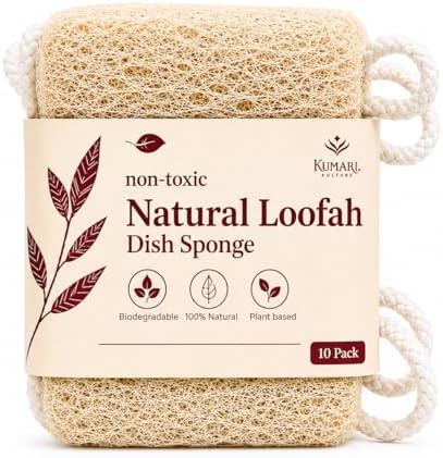 Natural Loofah Dish Sponge by KumariKulture