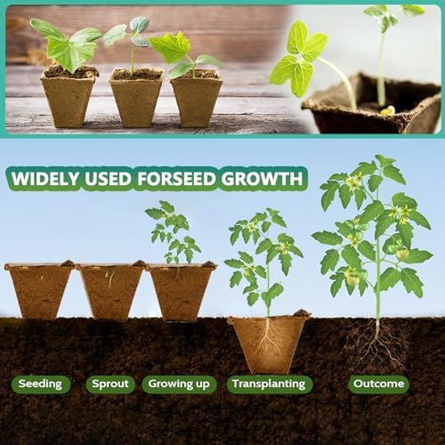 120 Cells Seed Starter Tray, 10 Pack Plant Starter Kit - Image 3