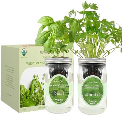 2-Pack Hydroponic Mason Jar Herb Garden Kit, Indoor Herb Garden Self-Watering Starter Kit (Basil,Cilantro) - Image 2