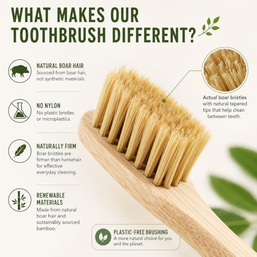 Gaia Guy Boar Bristle Bamboo Toothbrushes – 6 Pack Adult Toothbrush Set – No Nylon, Plastic-Free Natural Bristles, Bamboo Handle, Made from Natural Materials, Eco-Friendly Oral Care - Image 2