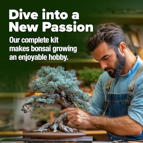 HOME GROWN Bonsai Tree Starter Kit, Grow 4 Bonsai Trees, Gardening Gift - Image 5