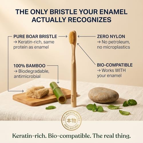 Dento 4-Pack Boar Bristle & Bamboo Toothbrushes, Keratin for Polish - Image 2