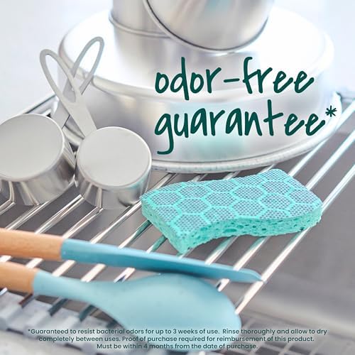 Scotch-Brite Odor Resist Heavy Duty Scrub Sponge, Dishwasher-Safe Kitchen sponges for Serious Scrubbing, Multipurpose Dish Sponge for Stuck-On Messes, 6 Scrubbing Sponges - Image 5
