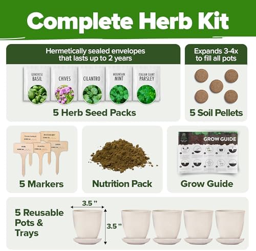 HOME GROWN 5 Herb Indoor Garden Starter Kit, Christmas Gardening Gift - Image 2