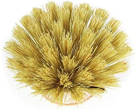 Redecker Dish Brush Replacement Head, Tampico Fiber, 1-1/2 Inch Round – Wooden Replacement Brush Head for Everyday Dishwashing, Made in Germany - Image 4