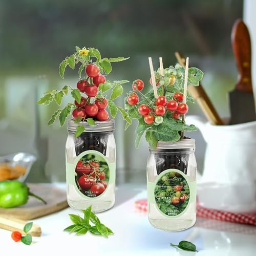 Tiny Tim & Red Robin Tomato Mason Jar Garden Kit, Mini Tomato Grow Duo, 2 Pack Indoor Hydroponic Growing Kit - Image 2