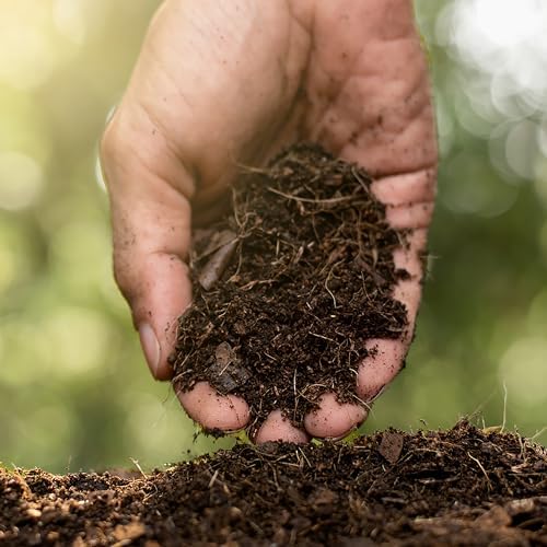 Jobe's Organics Fast Acting Granular Fertilizer Compost Starter,Easy Plant Care Compost Accelerator,4 lbs Bag,(Pack of 6) - Image 7