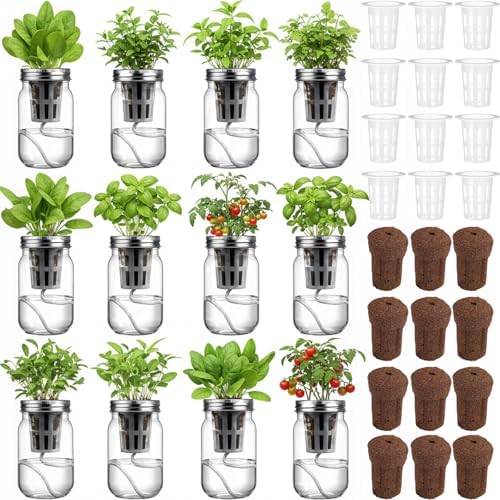 Teenyyou 12 Set Hydroponic Garden Mason Jar Kit Self Watering Herb Hydroponic Planter Starter Kit with Net Pot Garden Flower Plant Growing Gift for Indoor Herbs Windowsill Gardening by Teenyyou