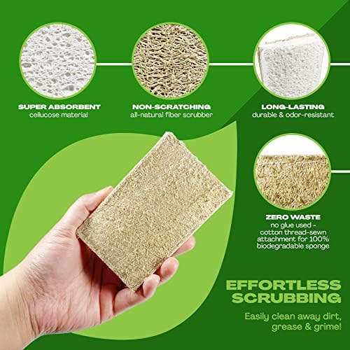 Natural Kitchen Dish Sponge Vegan Plant-Based for Dish Washing Home Cleaning - Each Pack Contains 2 Sponges (1 Pack) - Image 3
