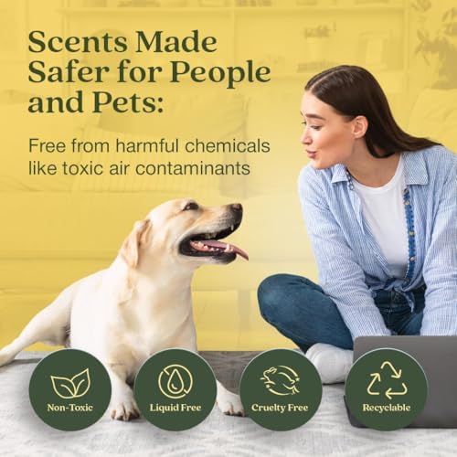 Enviroscent Non-Toxic Air Freshener for Home | Liquid Free Diffuser | Home Fragrance Lasts Over 30 Days | Kit Includes 1 Mango Wood Stand & 1 Scent Stix Refill (Lemon Leaf & Thyme) - Image 2