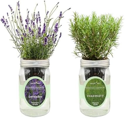 Lavender & Rosemary Mason Jar Herb Garden Kit, Aromatic Herb Duo, 2 Pack Indoor Hydroponic Growing Kit by Environet