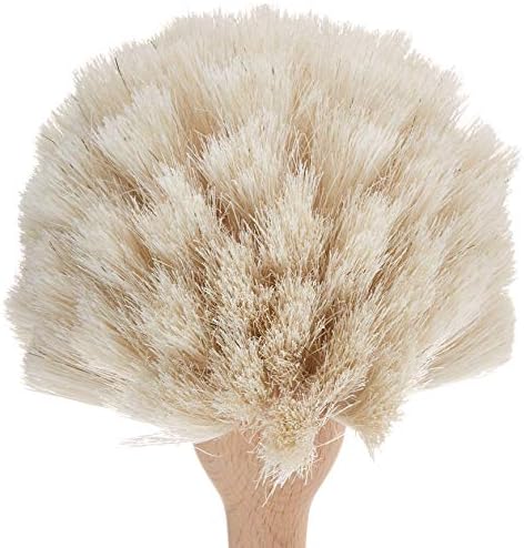 Fox Run Kitchen Brush, Natural Horsehair Fiber Dish and Glass Brush, 10" - Image 6