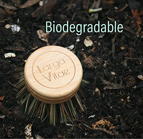 6 pcs Wooden Dish Brush Replacement Heads Made of Renewable Bamboo Wood and Natural Bristle Fiber, Durable, Long Lasting (Palm/Coconut Fiber Bristles) - Image 7