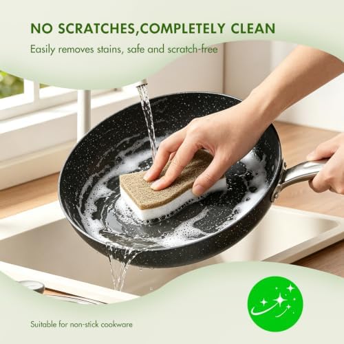 SetSail Natural Kitchen Sponges, 12 Pack Biodegradable Dish Sponges - Image 7