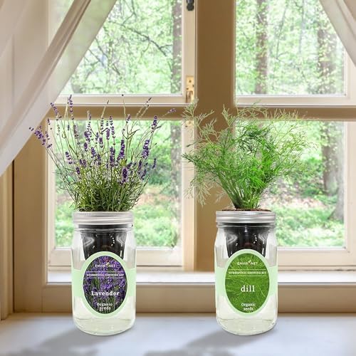 Lavender & Rosemary Mason Jar Herb Garden Kit, Aromatic Herb Duo, 2 Pack Indoor Hydroponic Growing Kit - Image 2
