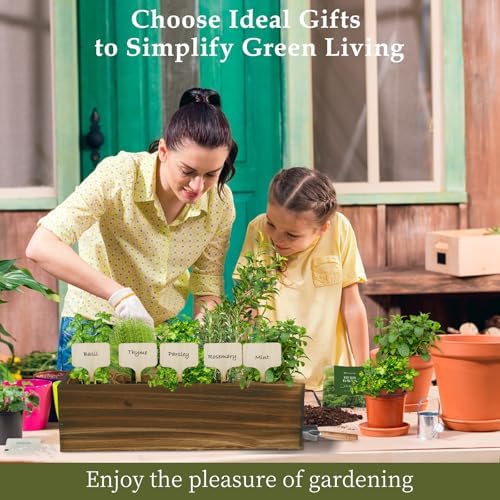 5 Herb Garden Planter Indoor with Wooden Box, Home Kitchen Seed Starter Kit Including Basil, Thyme, Parsley, Rosemary, Mint, Birthday, Mothers Day, House Warming, Gardening Gifts for Women, Mom - Image 5
