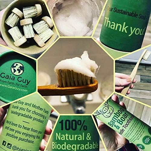 Gaia Guy Natural Bristle Bamboo Toothbrush (NO Nylon - Boar Hair ONLY) - Totally Compostable & Biodegradable Boar Bristle and Bamboo Toothbrushes - Zero Waste - 12-Pack - Image 6