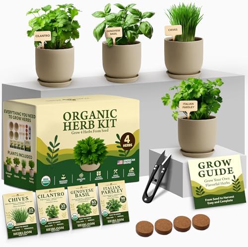 HOME GROWN 4 Herb Indoor Garden Kit, Christmas Gardening Gift for Adults by HOMEGROWN