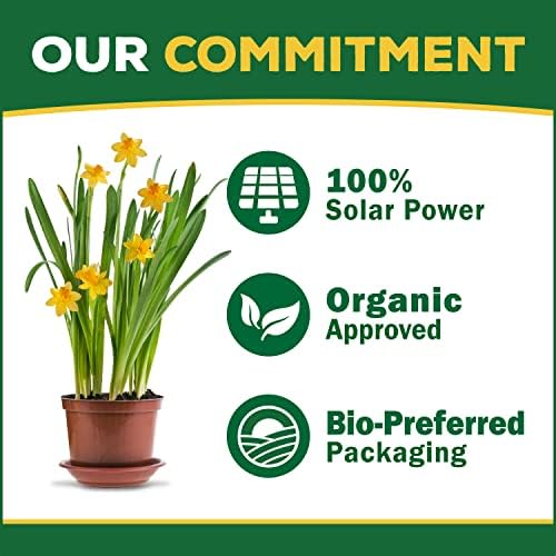 Espoma Organic Bio-Tone Starter Plus 4-3-3 Natural & Organic Starter Plant Food with Both Endo & Ecto Mycorrhizae; 4 lb. Bag; The Ultimate Starter Fertilizer - Pack of 2 - Image 6