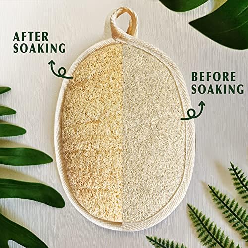 YIQINGJIE Natural Loofah Exfoliating Body Scrubber,4 Pack,Brown - Image 2