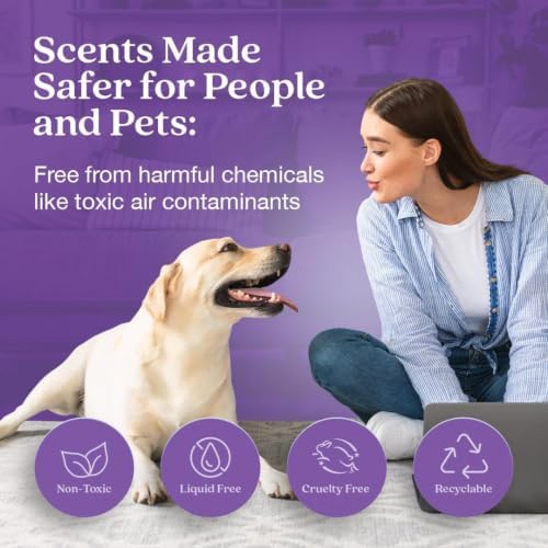 Enviroscent Scent Stix™ Starter Kit with Mango Wood Stand & Refill (2 Pack) - Image 2