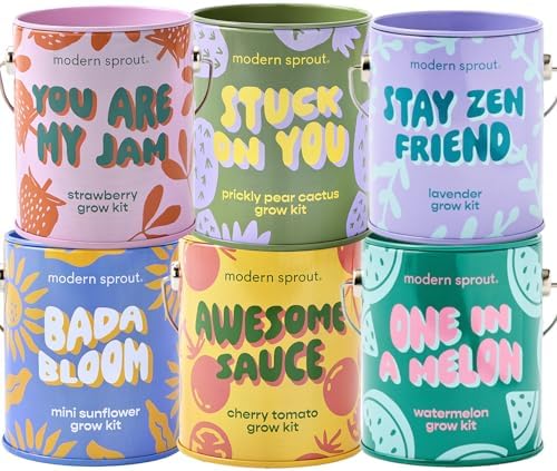 Modern Sprout Complimentary Color Grow Kits - Seed Starter Kit, Pack of 6 by ModernSprout