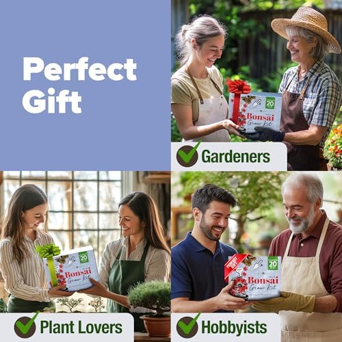 HOME GROWN Bonsai Tree Starter Kit, 4 Varieties, Indoor Gardening Gift Set - Image 5